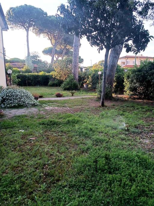 CASALEDO TIRRENIA