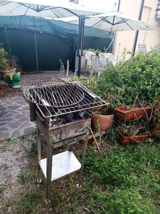 CASALEDO TIRRENIA