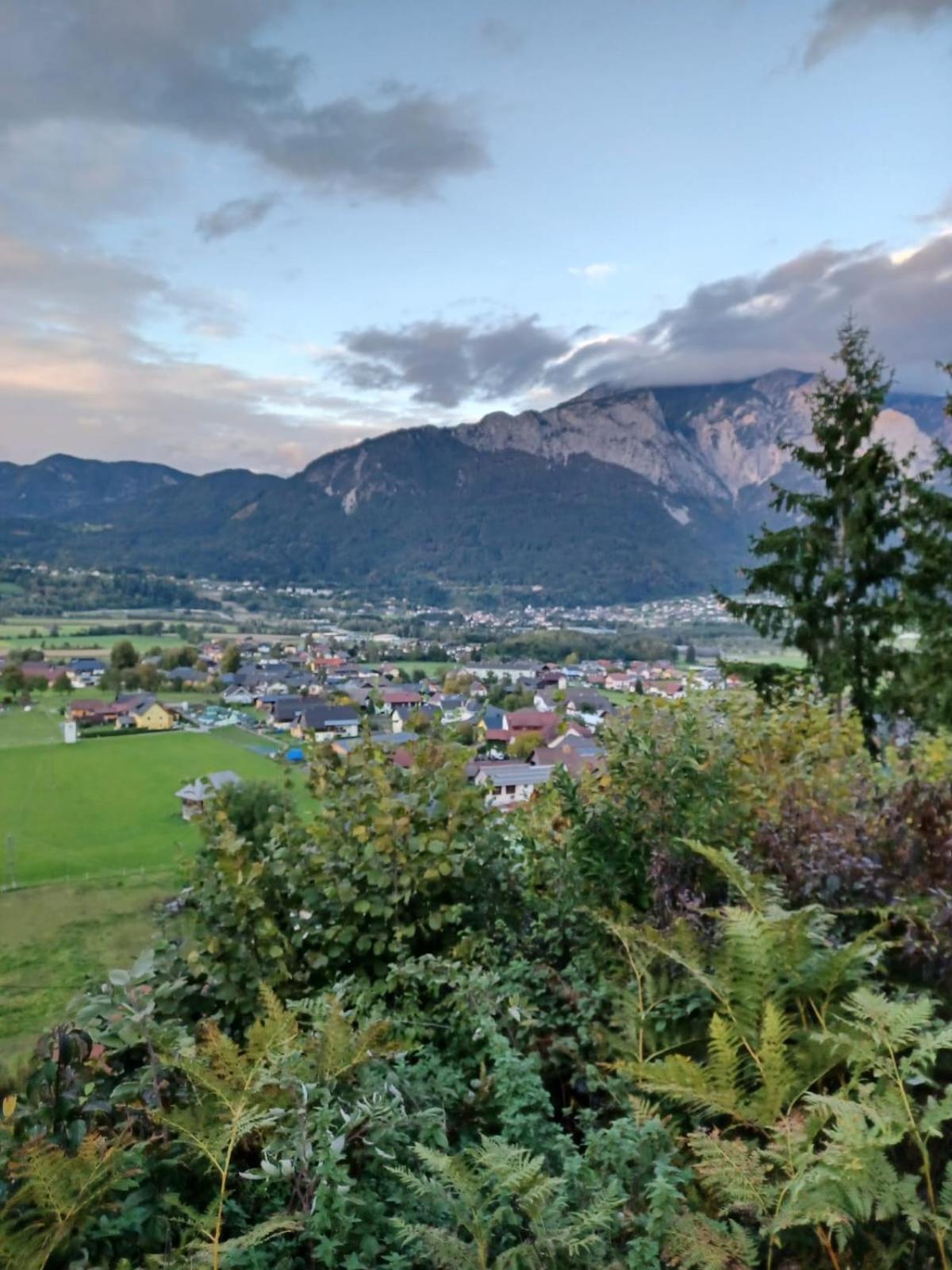 Ferienwohnung Gänseblümchen
