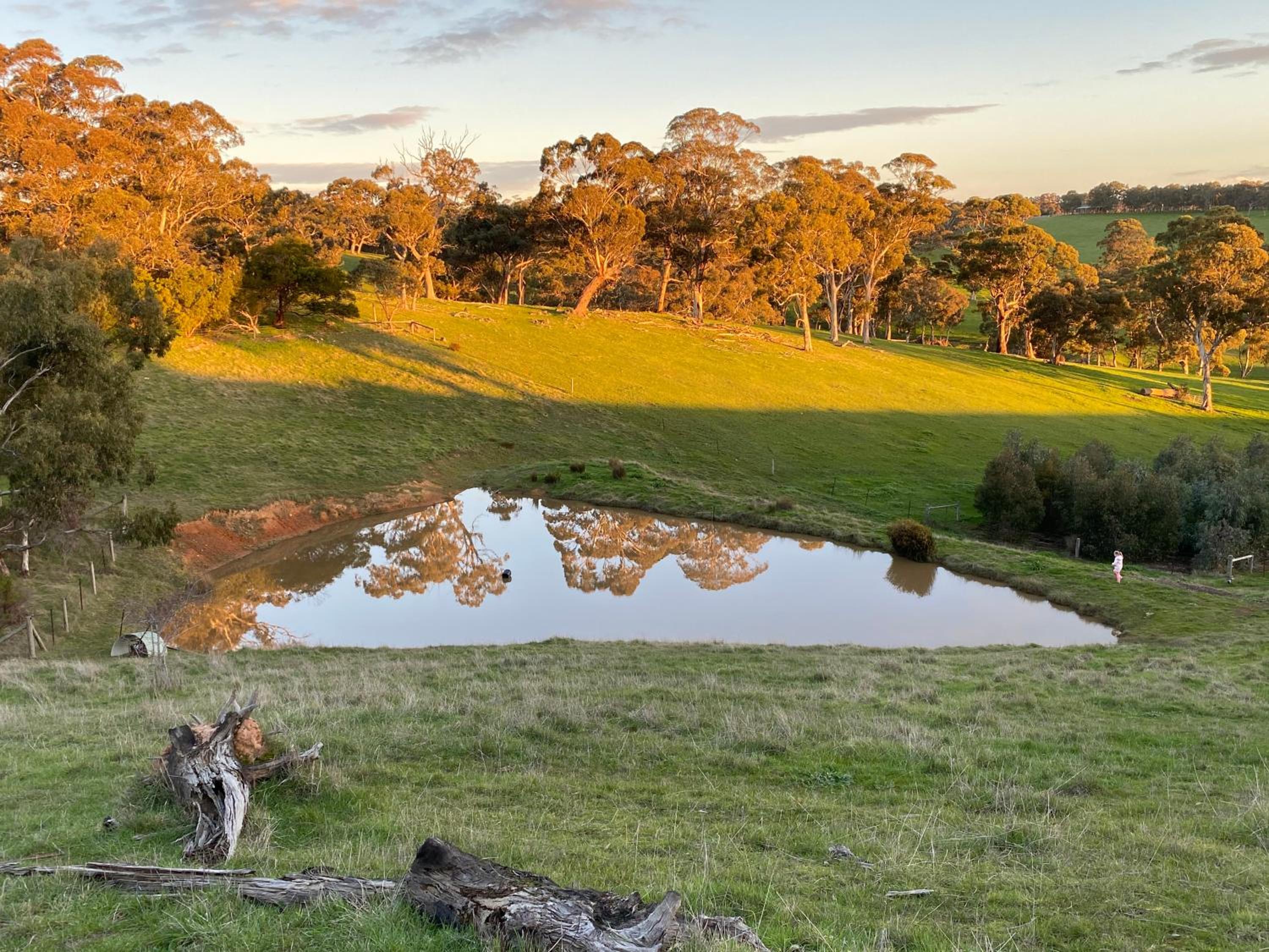 Kidman's Rest