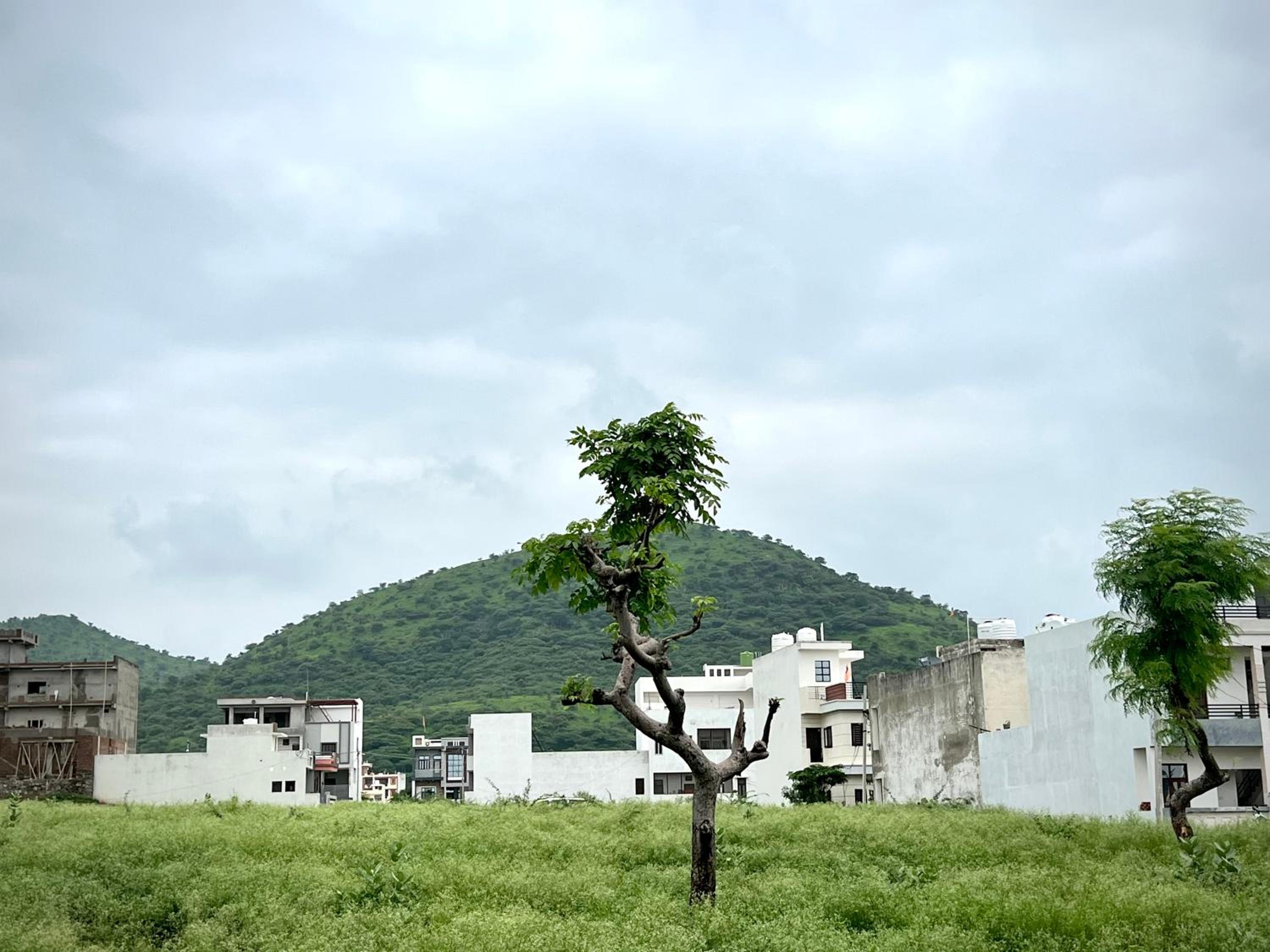 Sangeeta Villa Homestay Udaipur