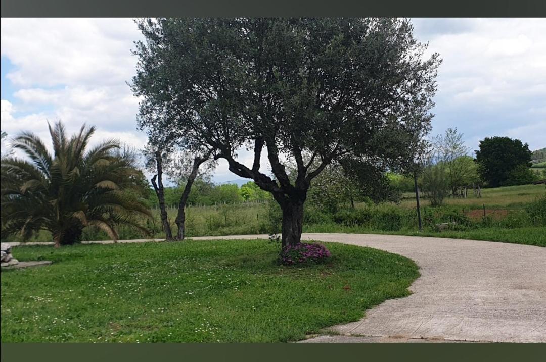 Villa Sabrina view 5