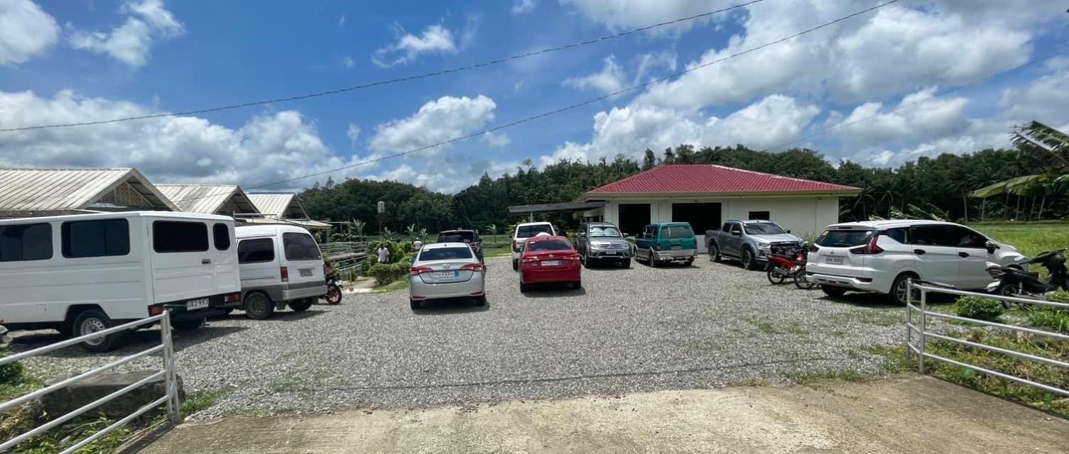 Jazz Ferme Inn Batuan Bohol view 4