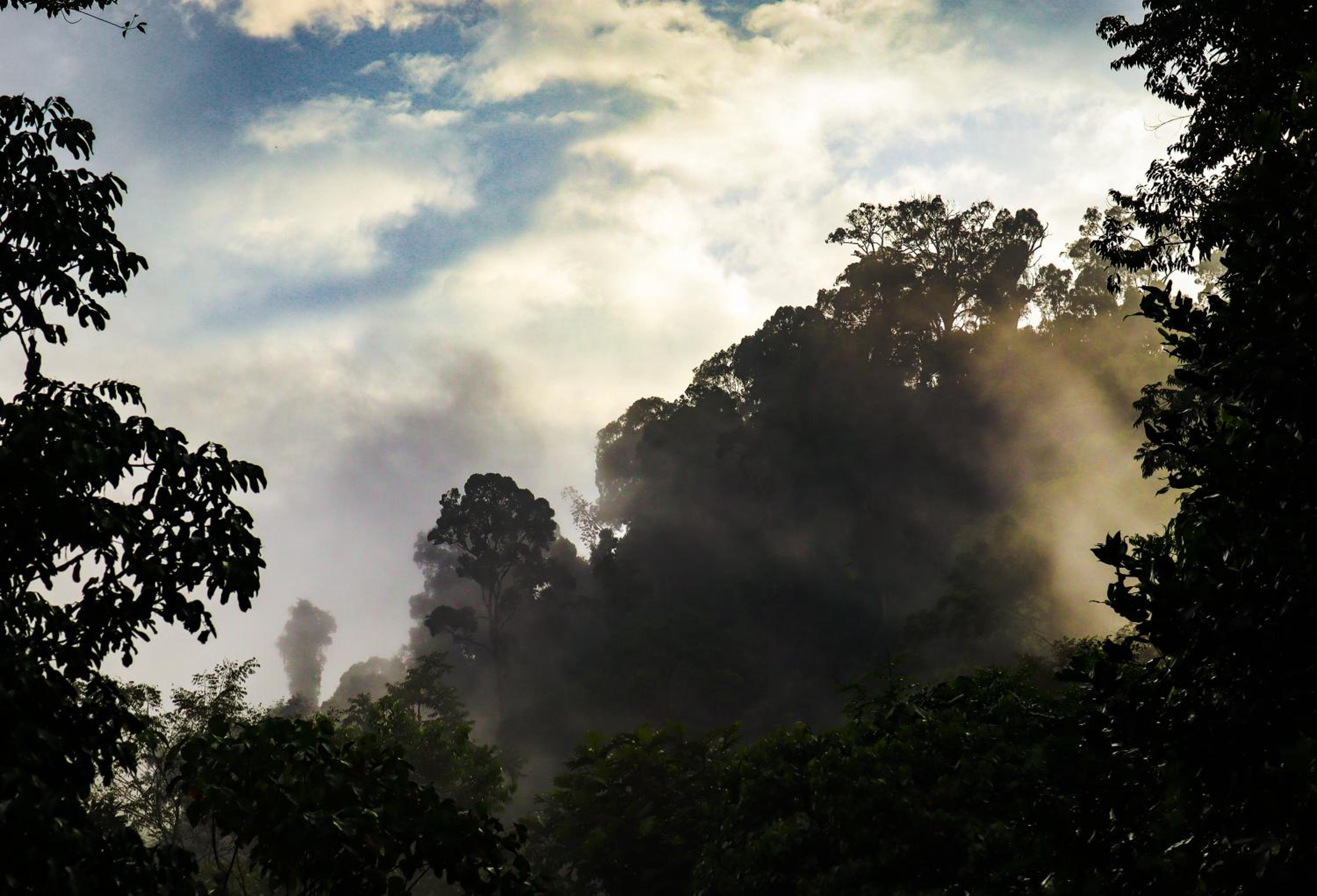 Wild Camp view 2