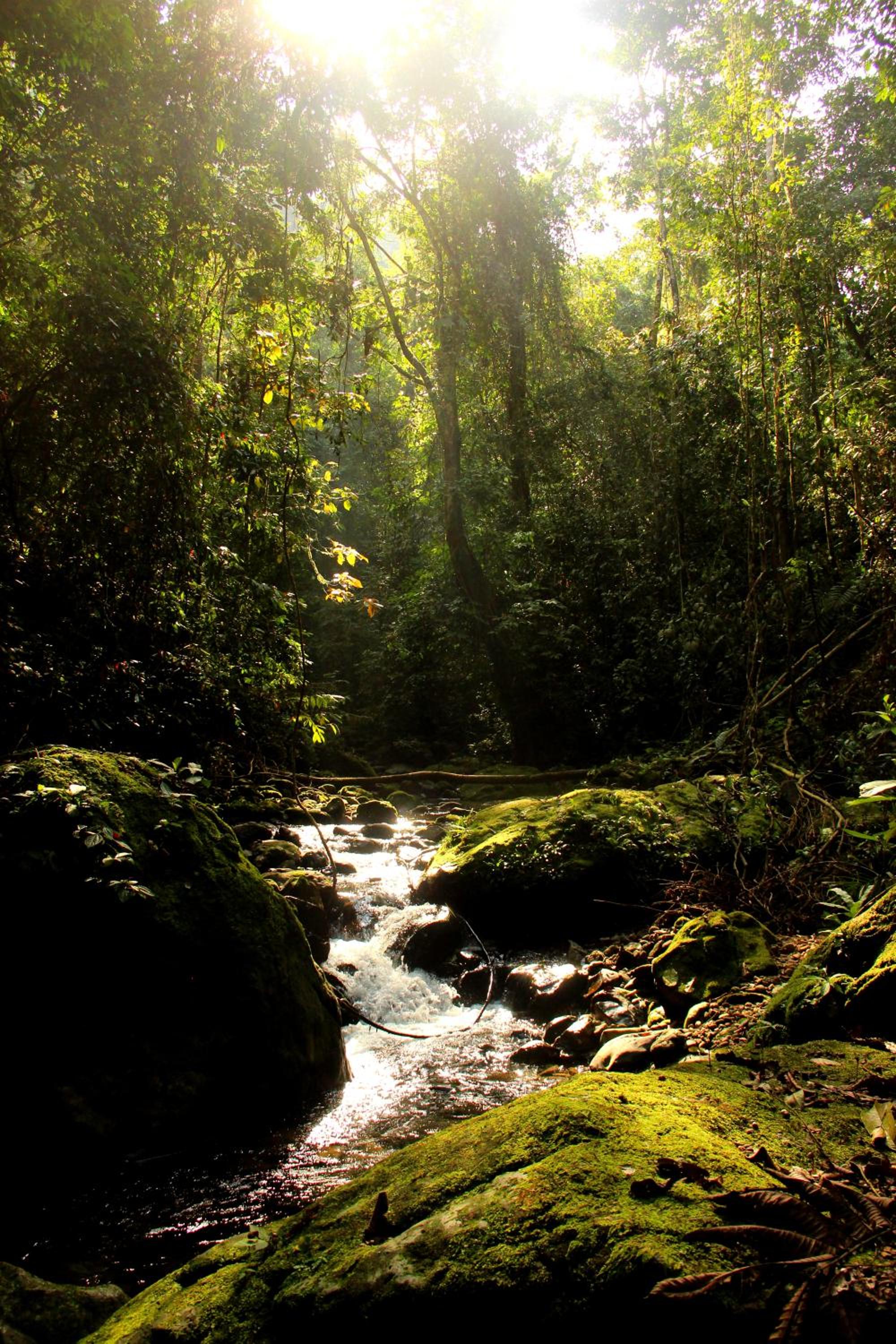 Wild Camp view 5