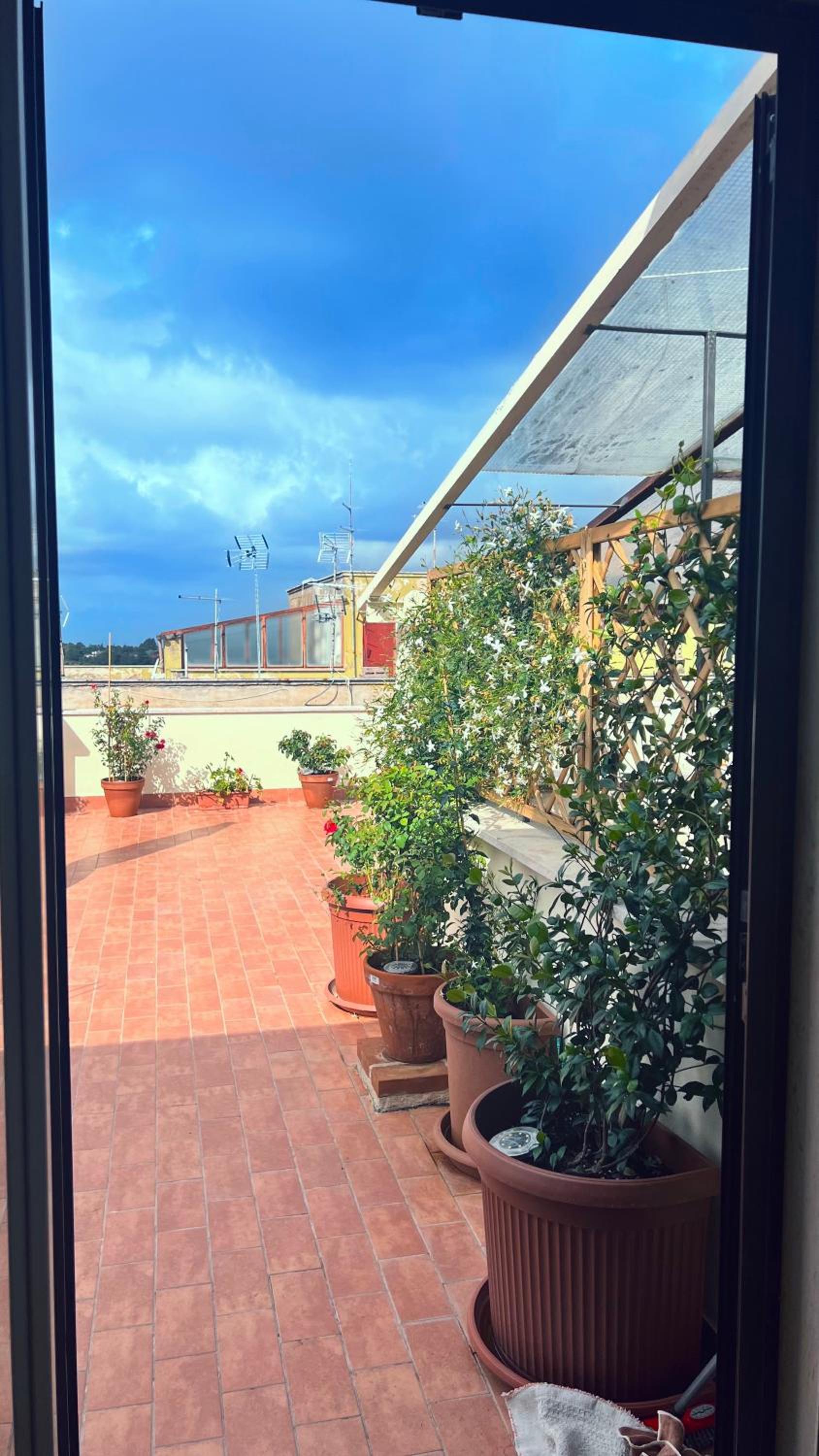 roof