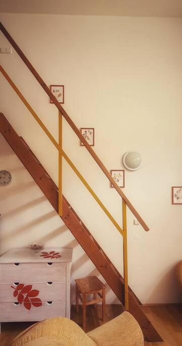 Spacious Apartment - Svoboda nad Úpou