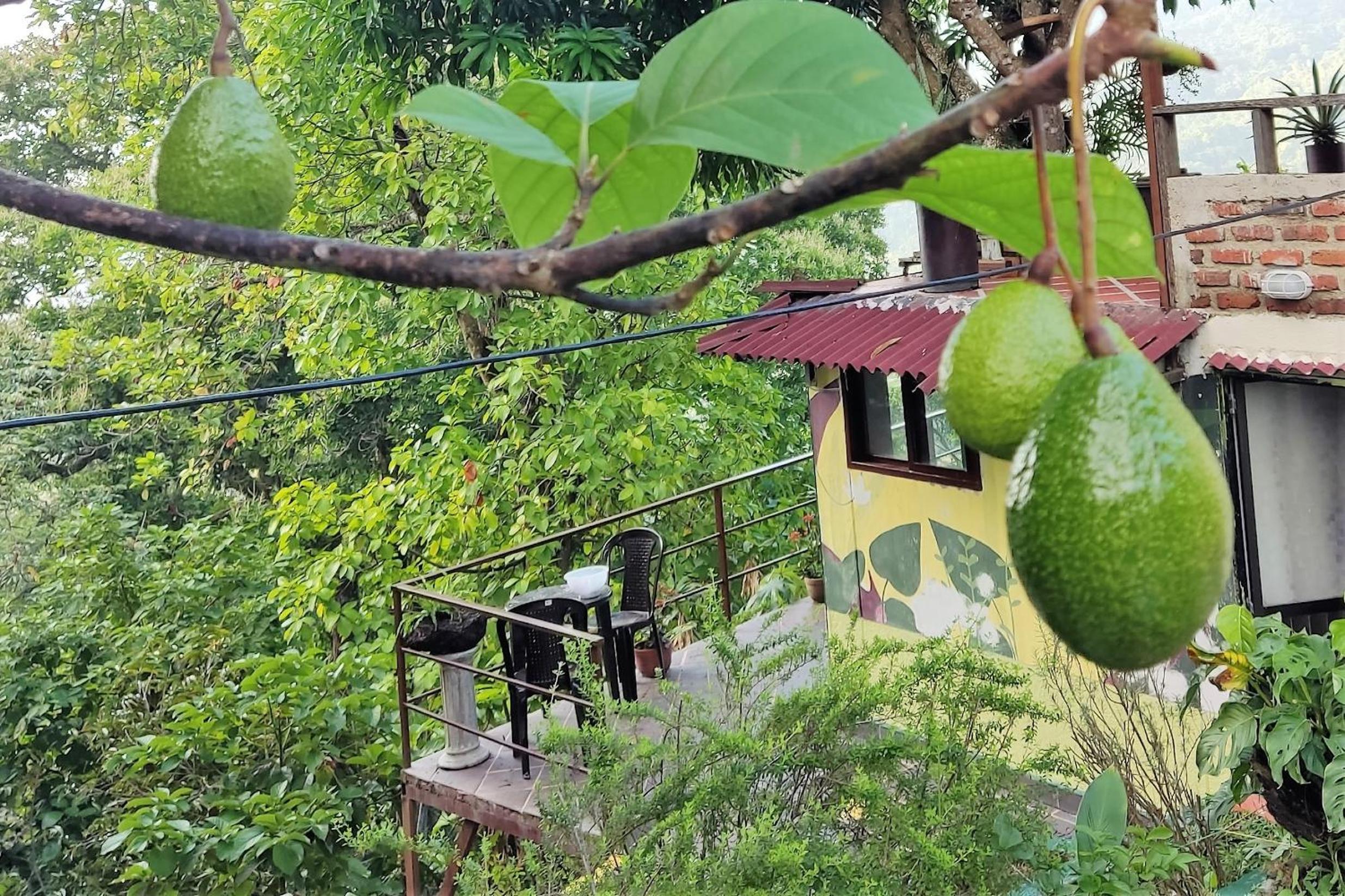 Romeo y Julieta - Cabaña Privada en Minca