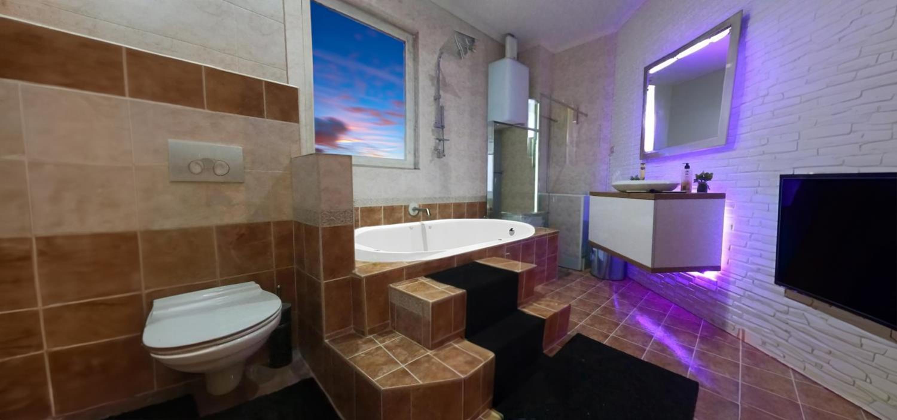 Apartmani Pančevo Rose view 5