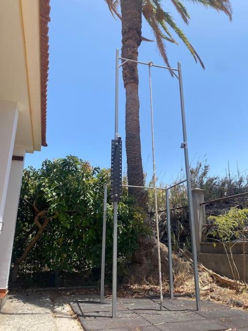 Casita Lily