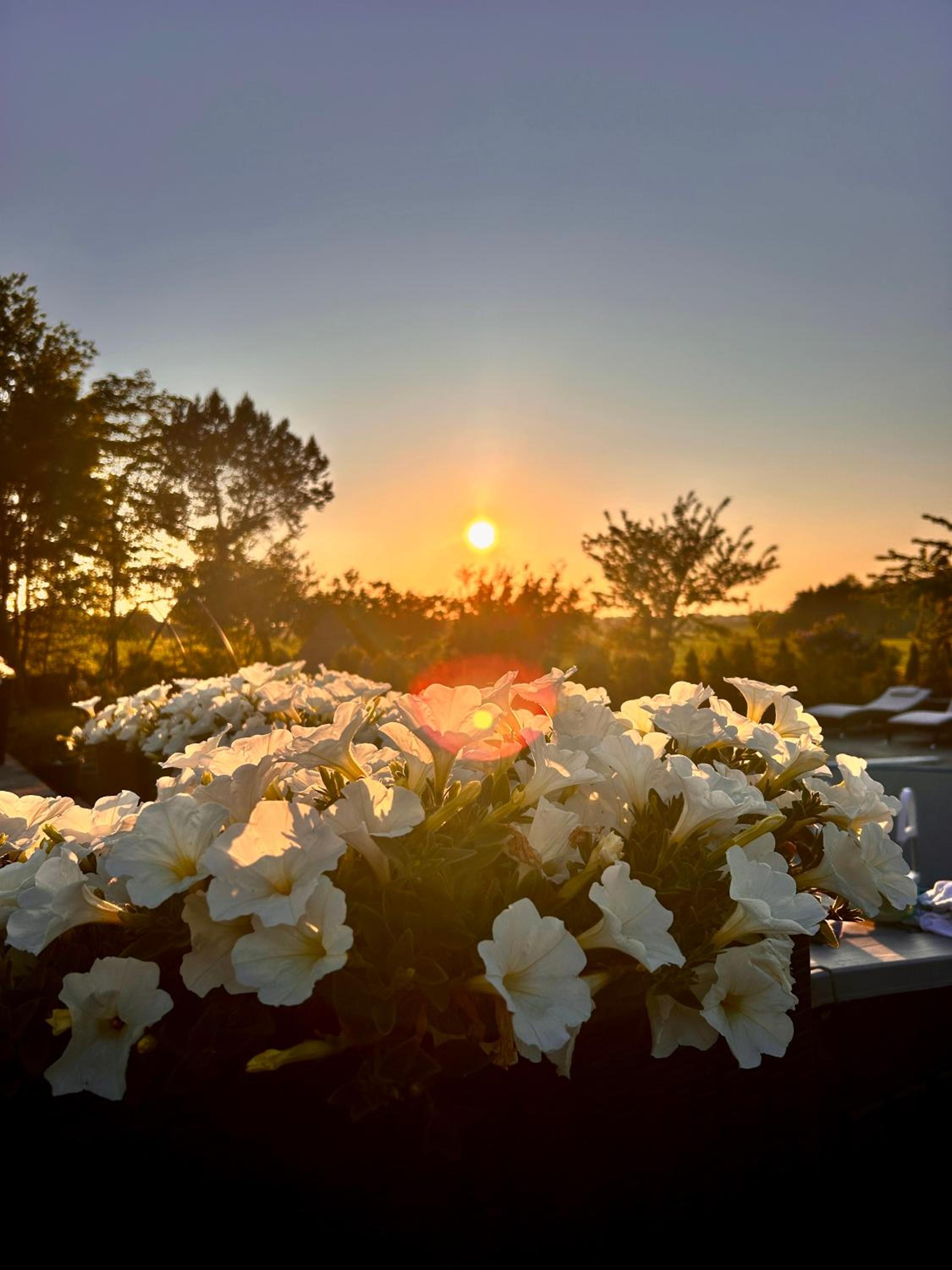 Apartamenty Golf Dyndeby