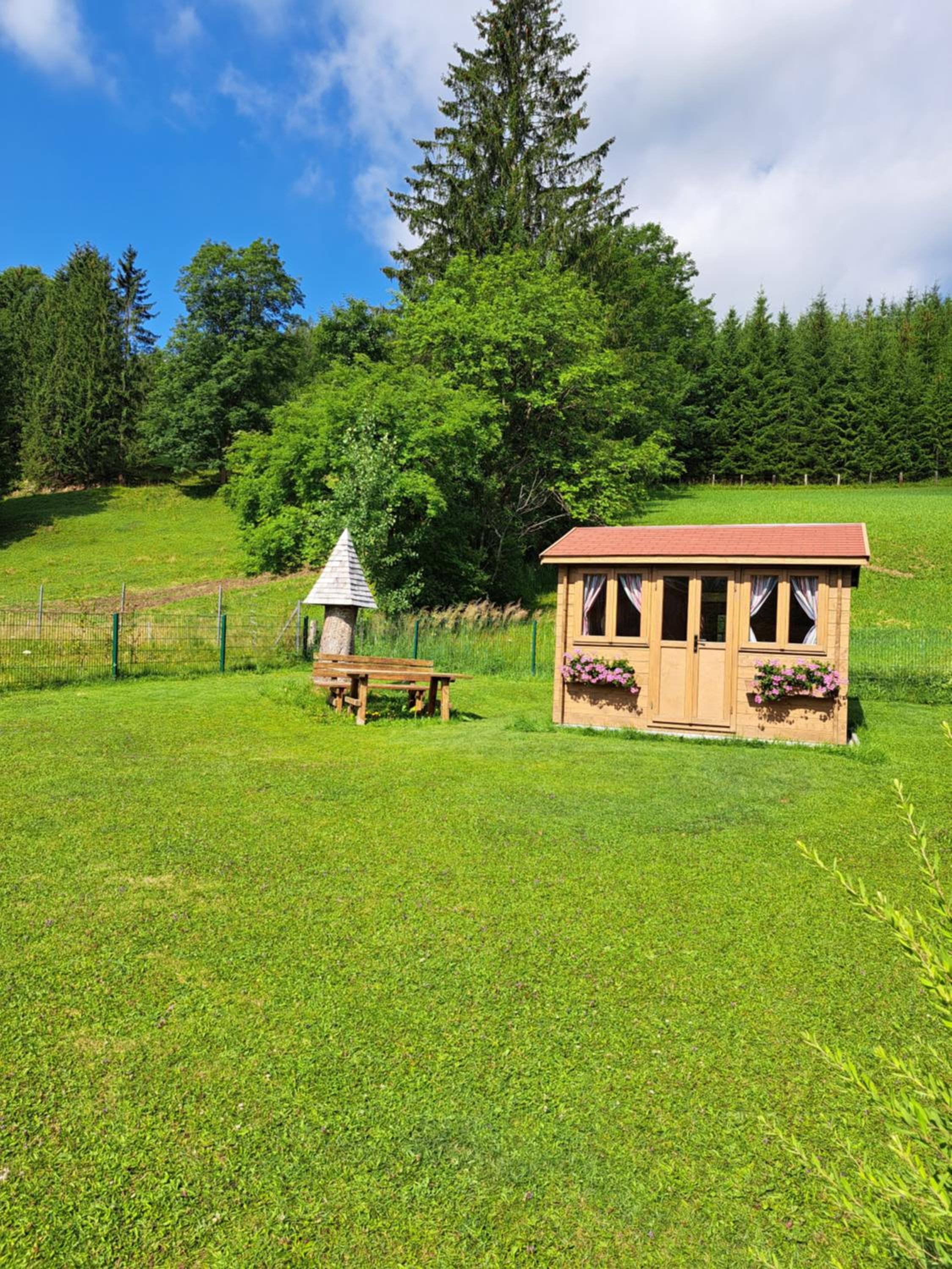 Photo 32