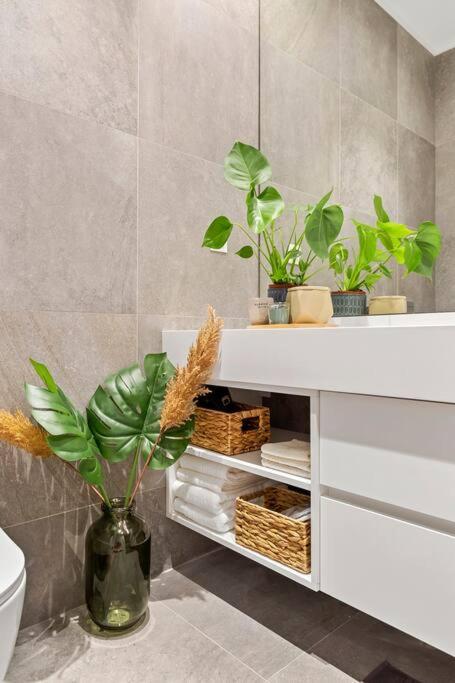 Floreasca Apartament on Business Centre