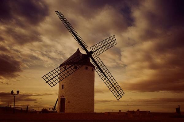 Photo 50