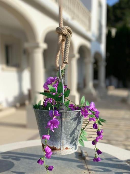 Villa Orquidea