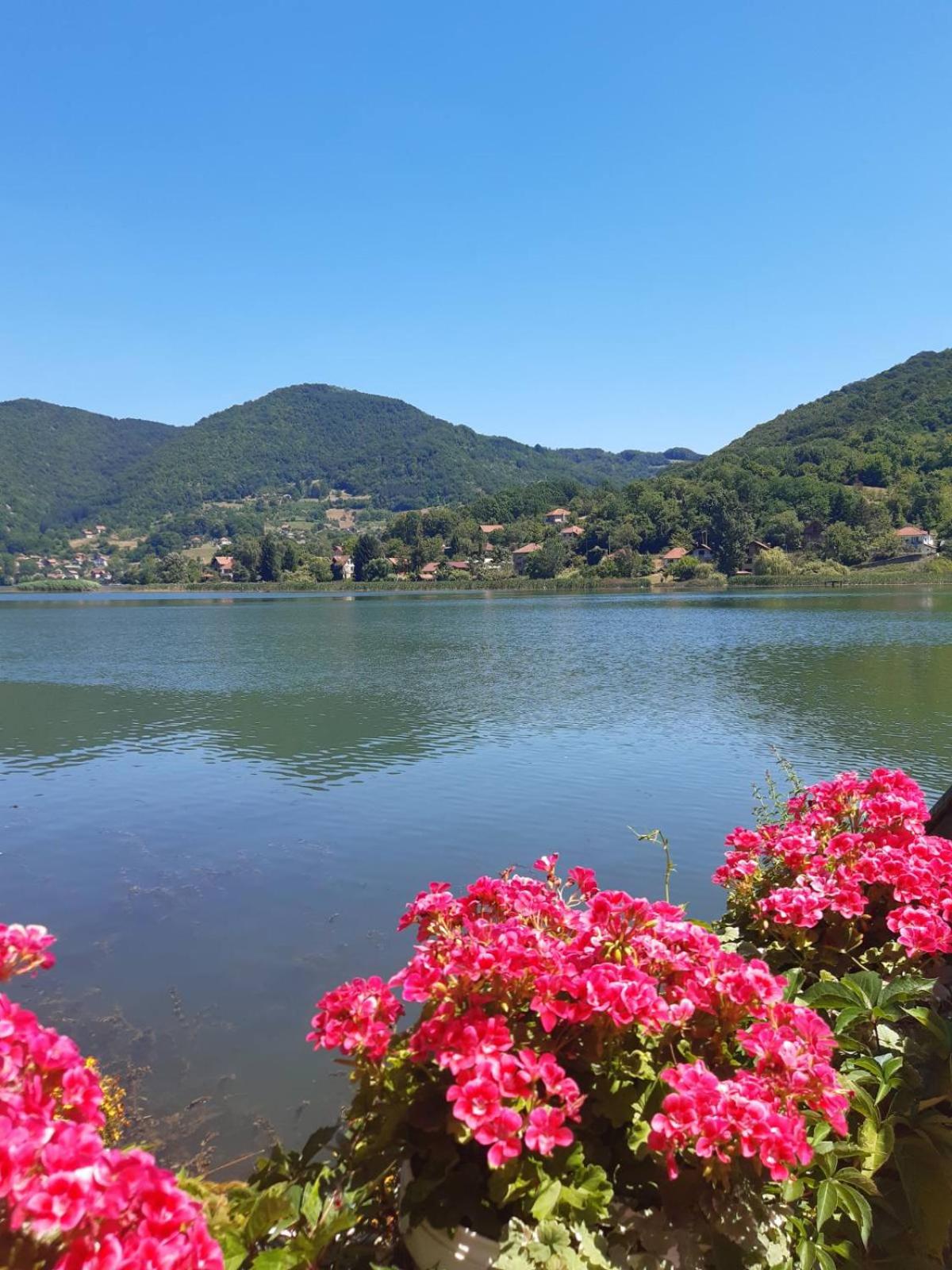 Vila Oaza - Zvorničko jezero