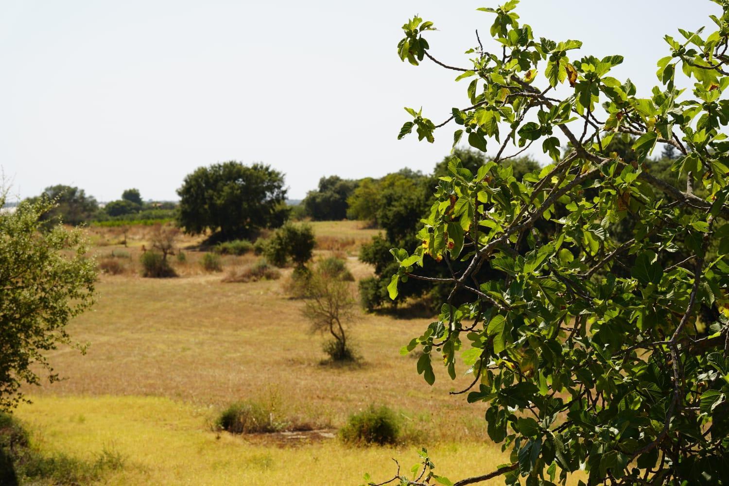 Accogliente villa con piscina