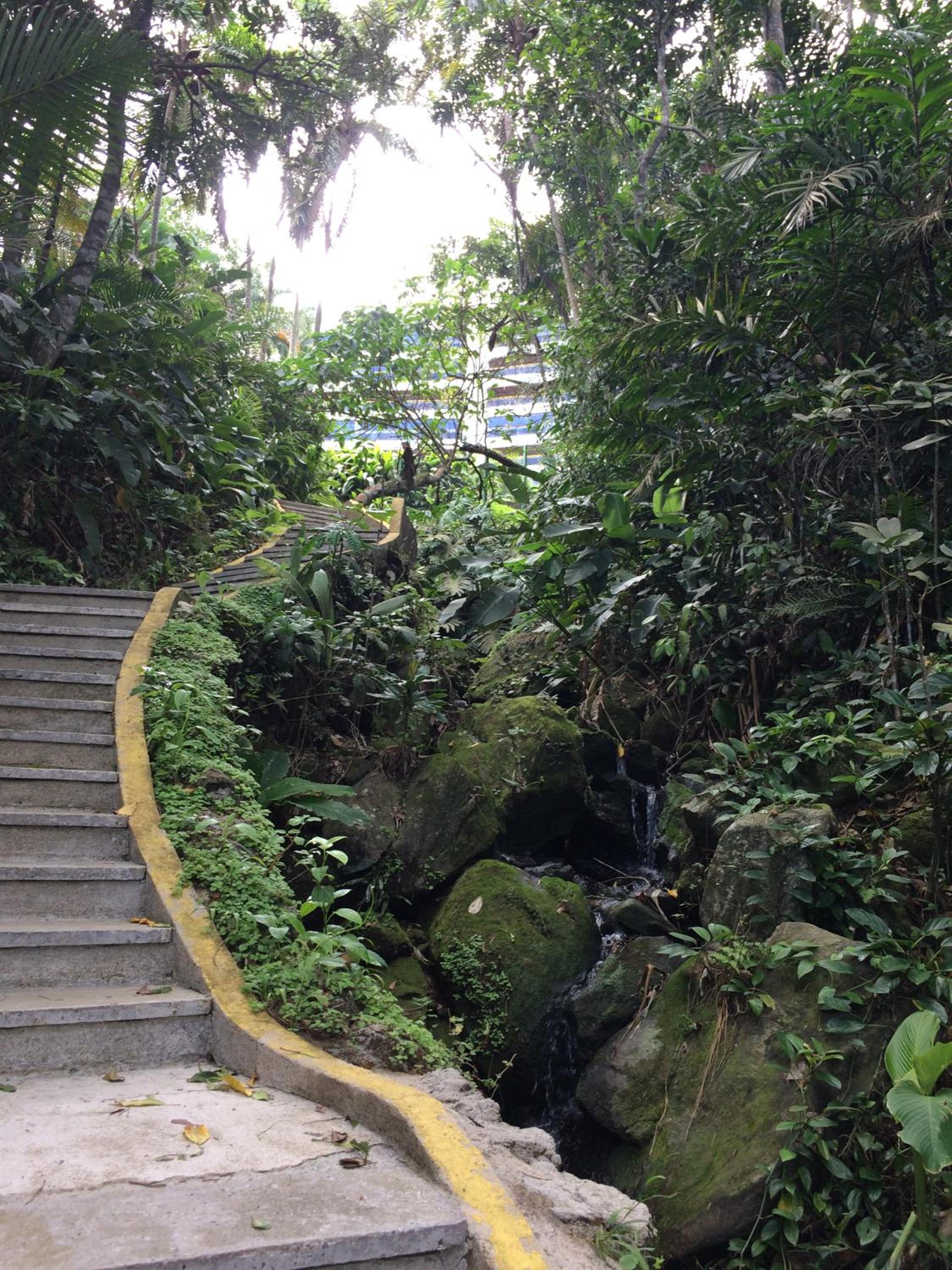Sorocotuba 2 - Enseada - Natureza & Praia Privativa view 5