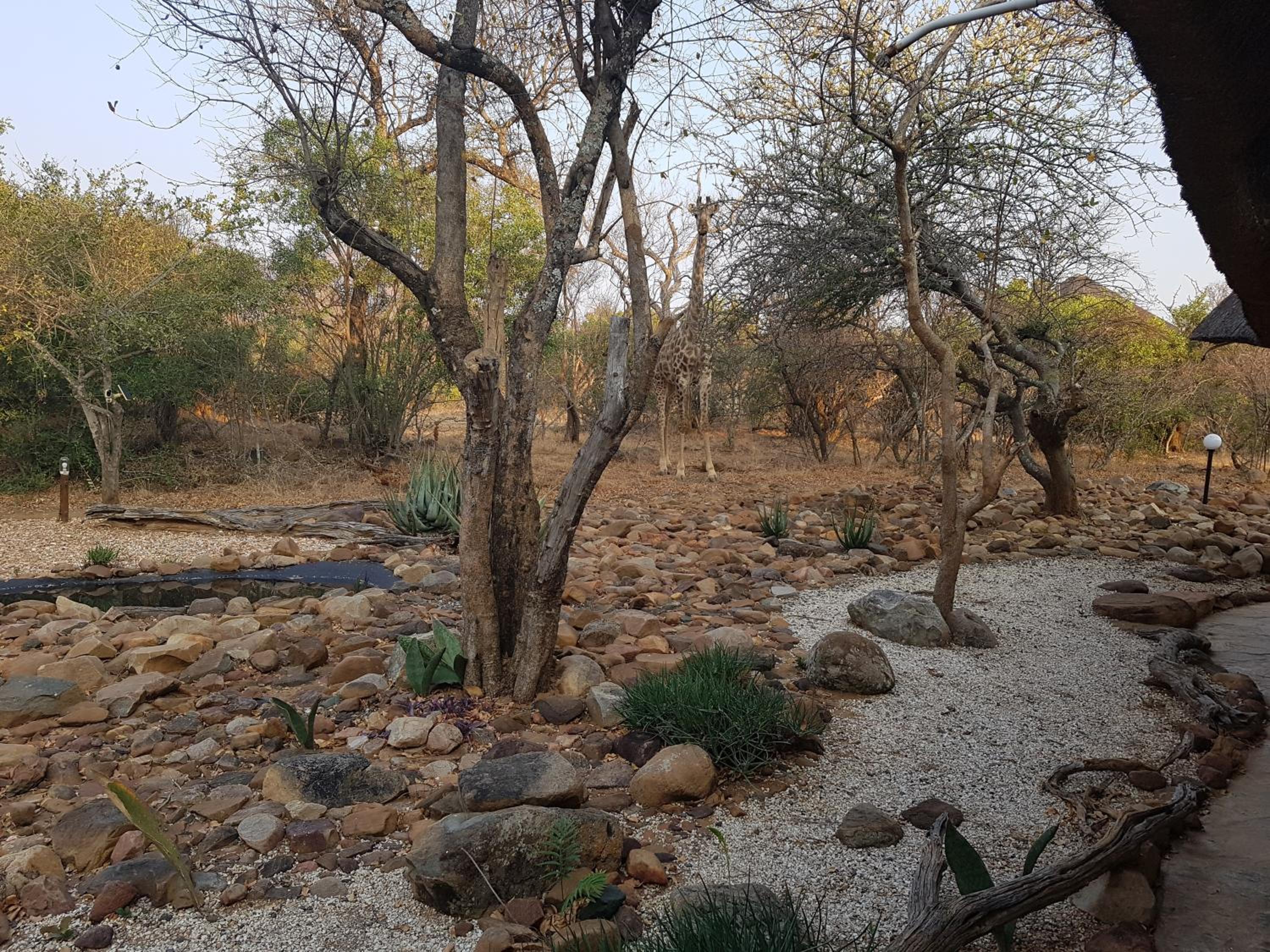 Bona Intaba Game Lodge