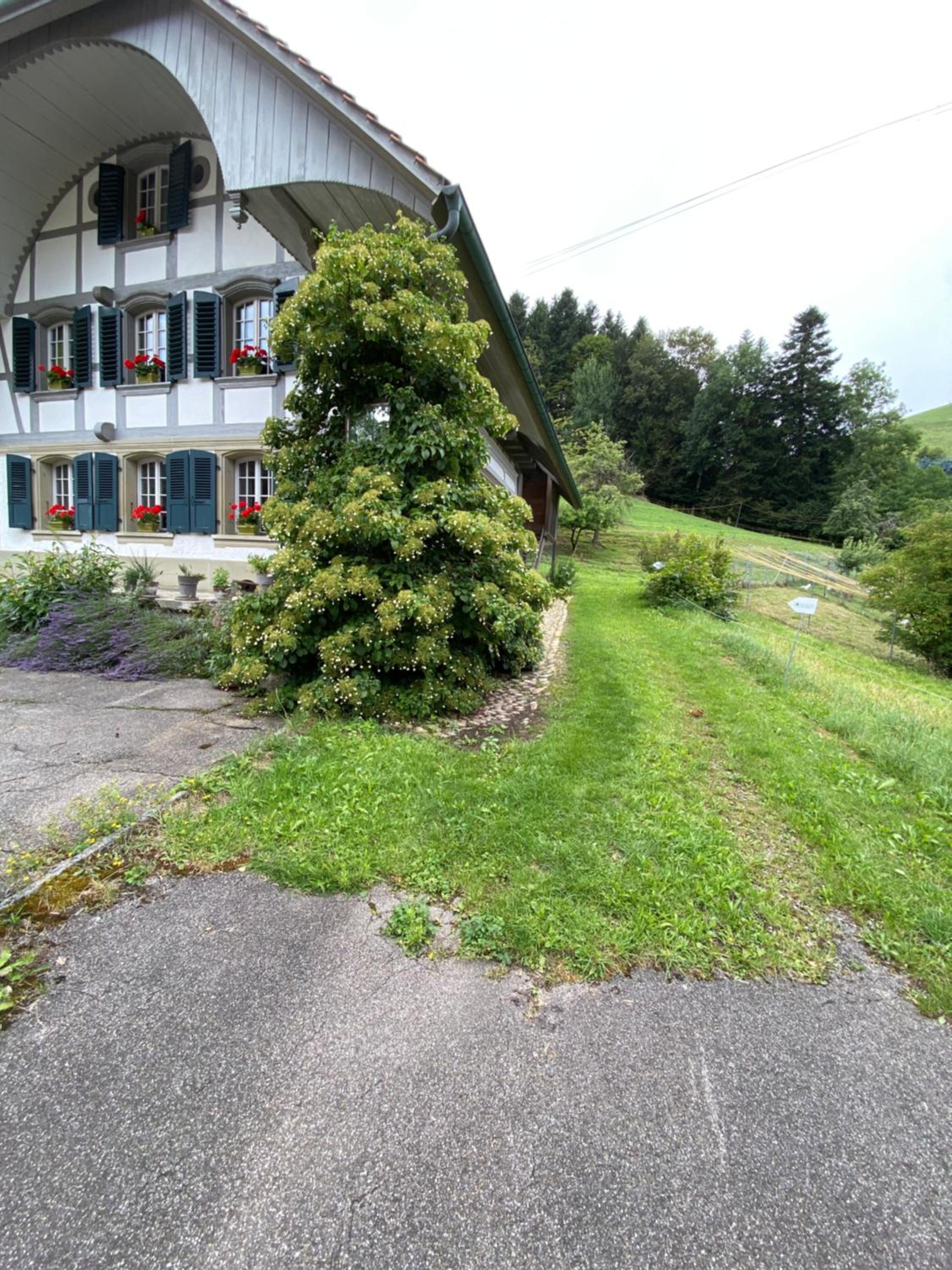B&B tannen124