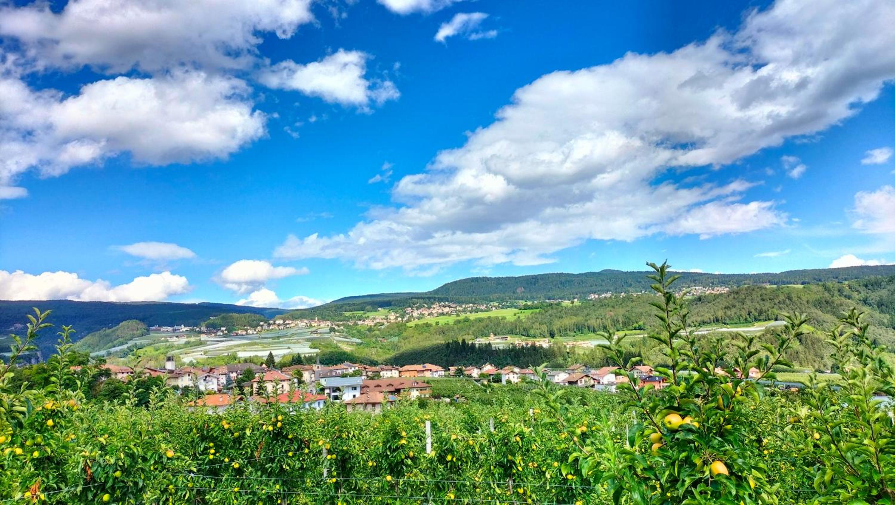 Agritur La Fenice