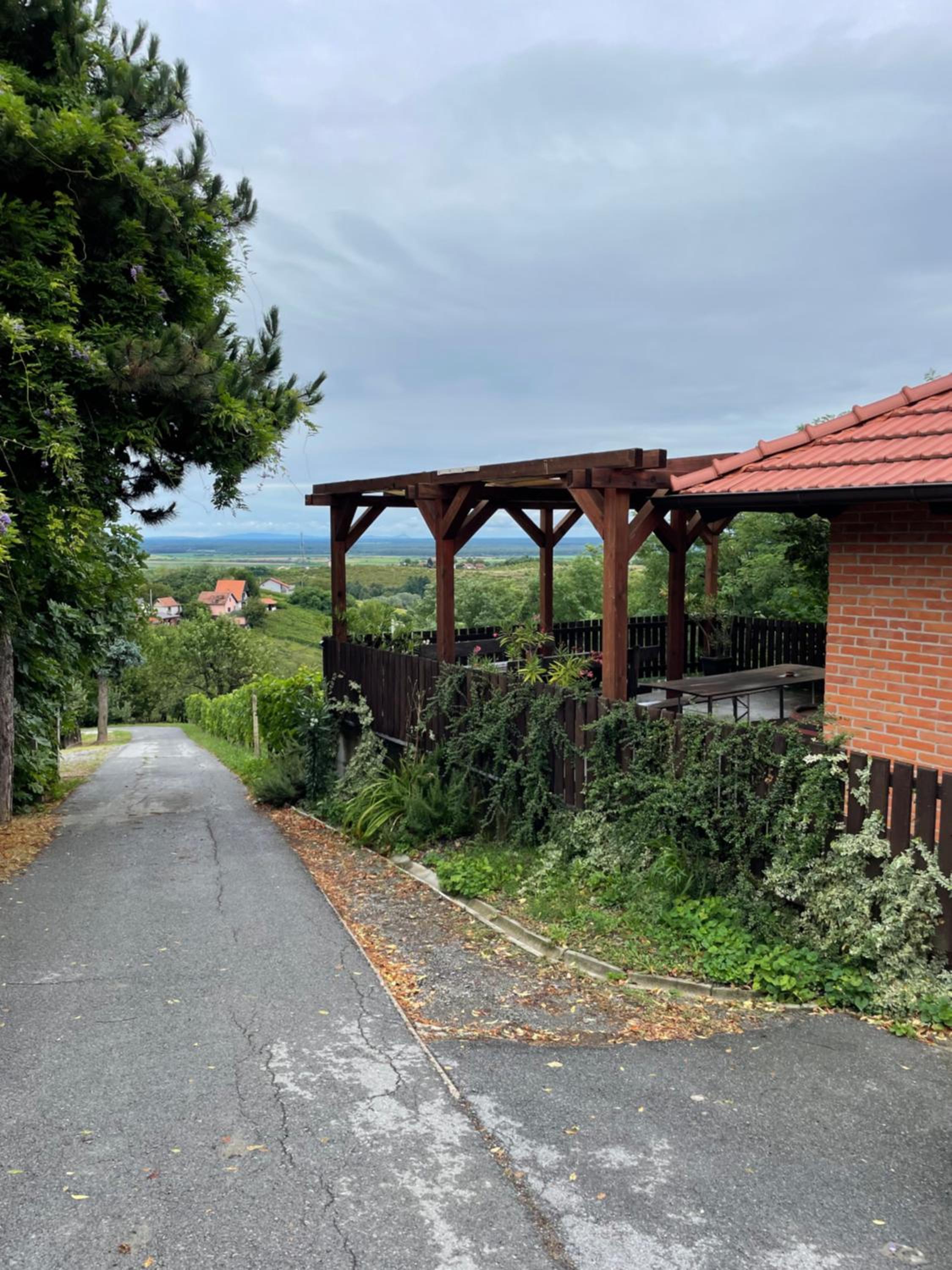 Villa Repić view 4