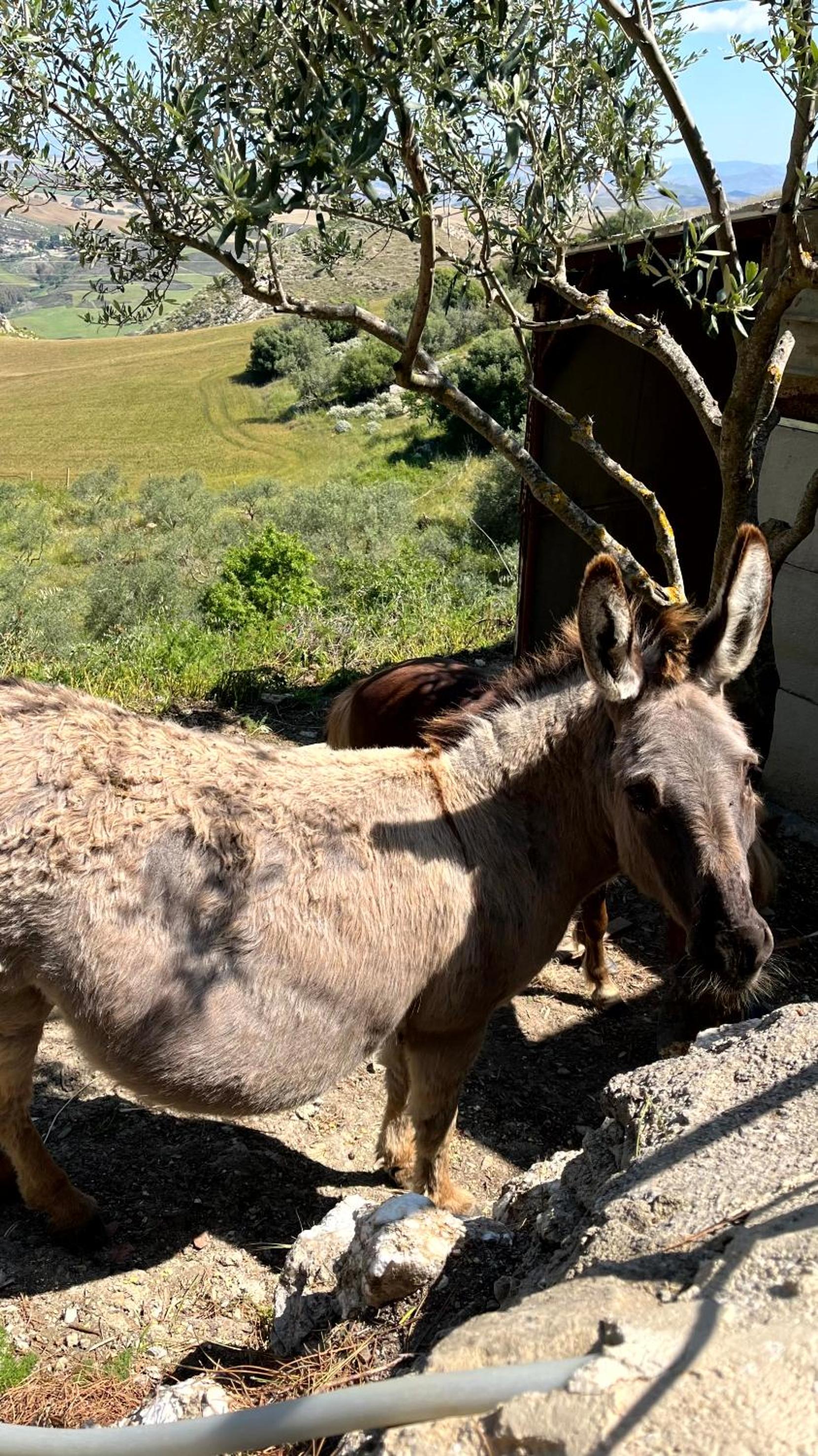 Photo 73