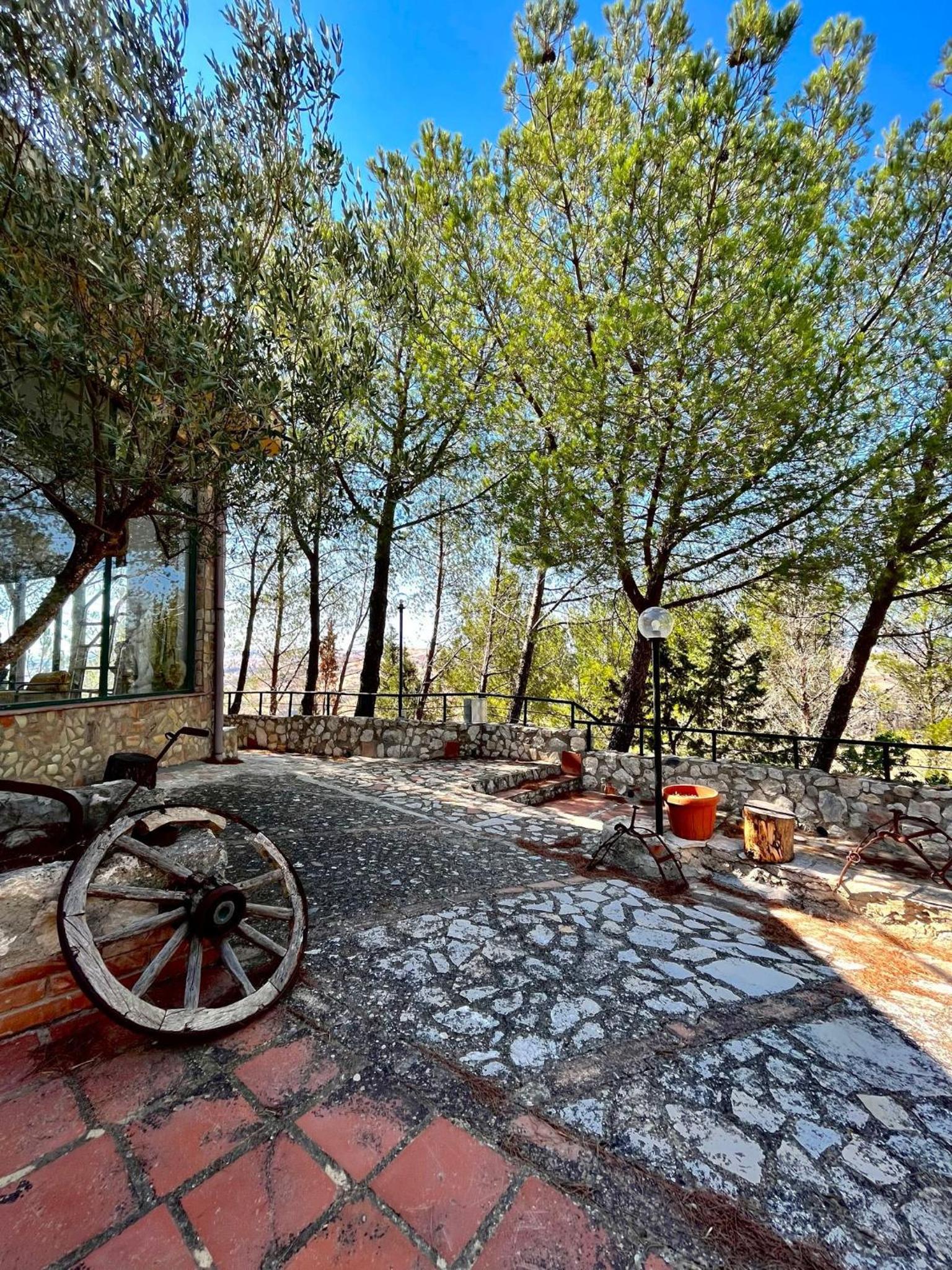 Photo 10