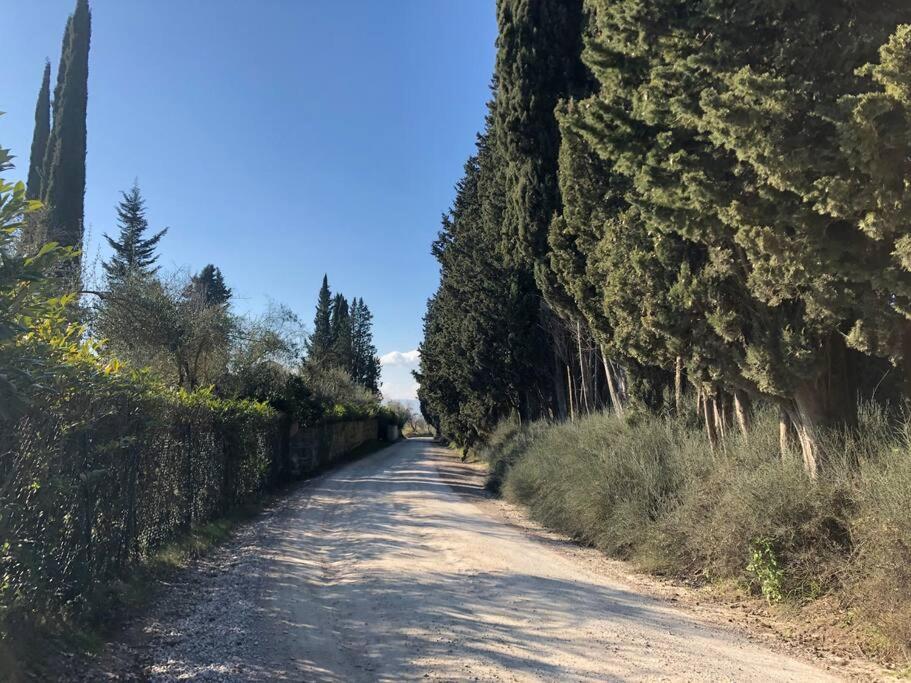 LA VIGNA Agriturismo