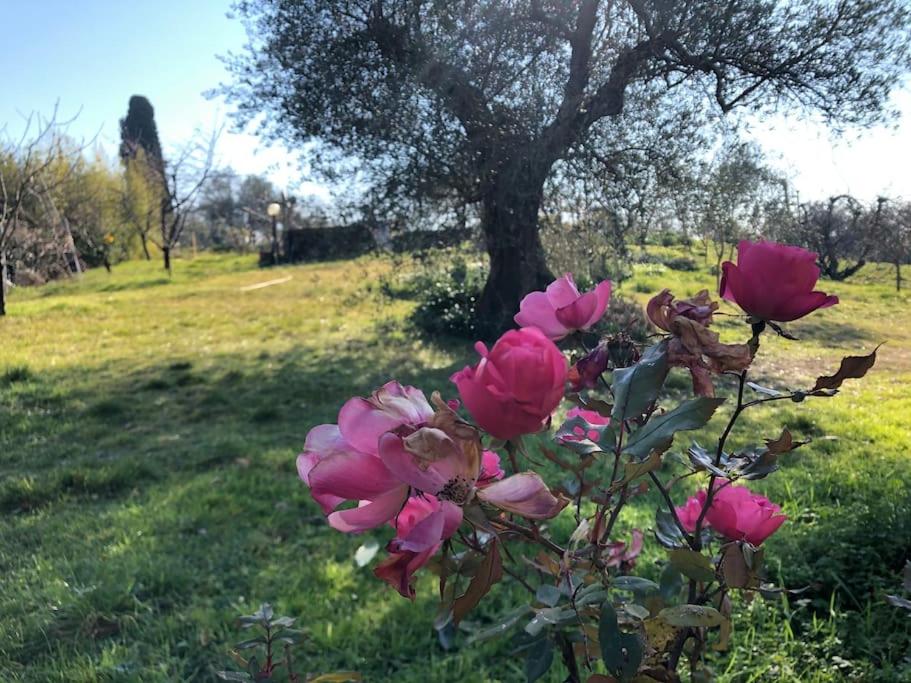 LA VIGNA Agriturismo