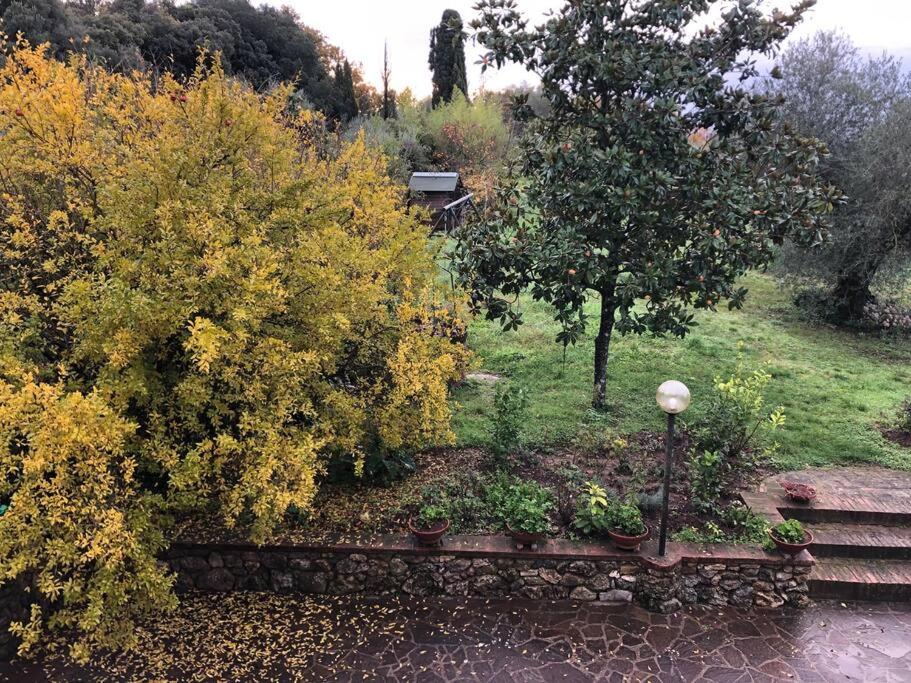 LA VIGNA Agriturismo