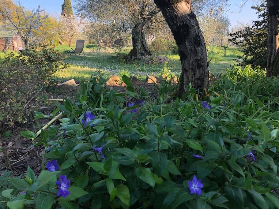 LA VIGNA Agriturismo