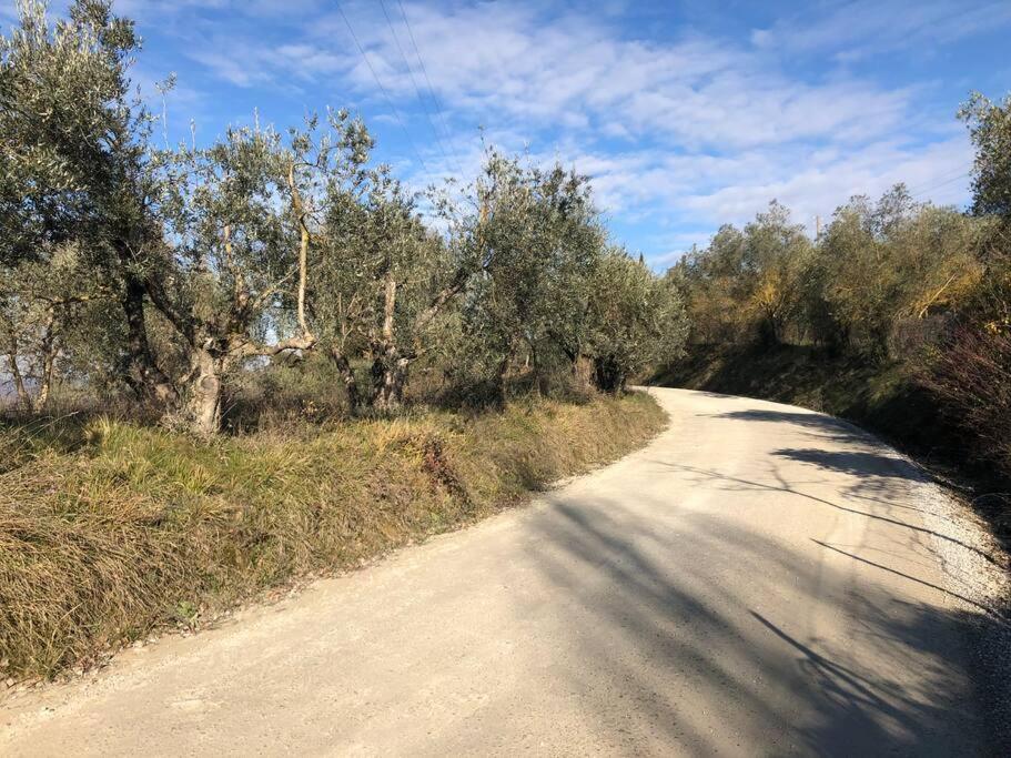 LA VIGNA Agriturismo