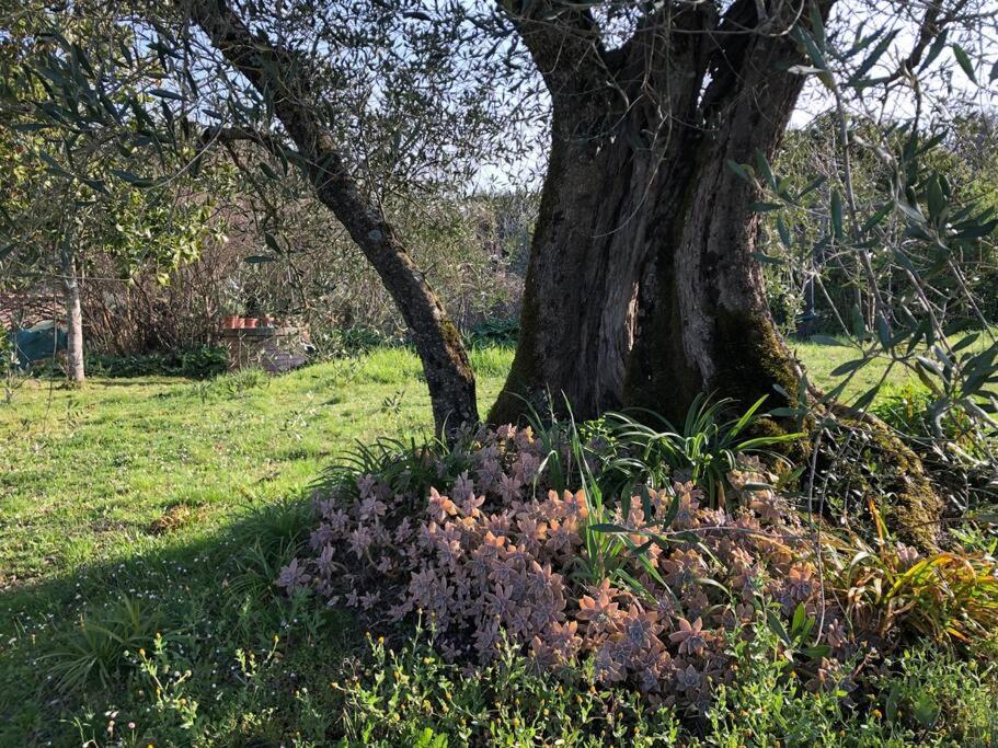 LA VIGNA Agriturismo