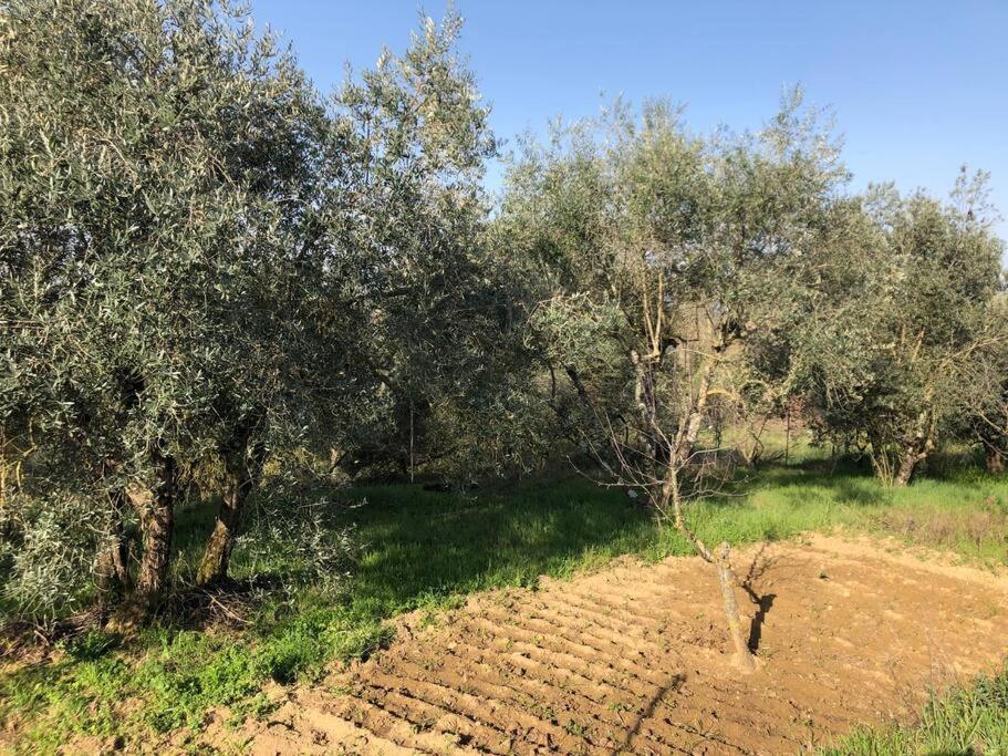 LA VIGNA Agriturismo