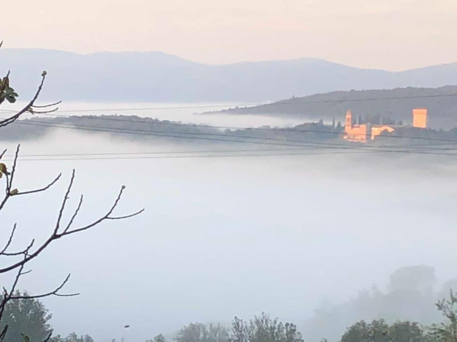 LA VIGNA Agriturismo