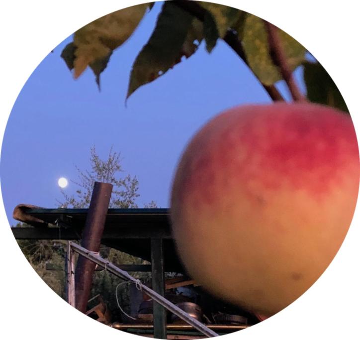 LA VIGNA Agriturismo