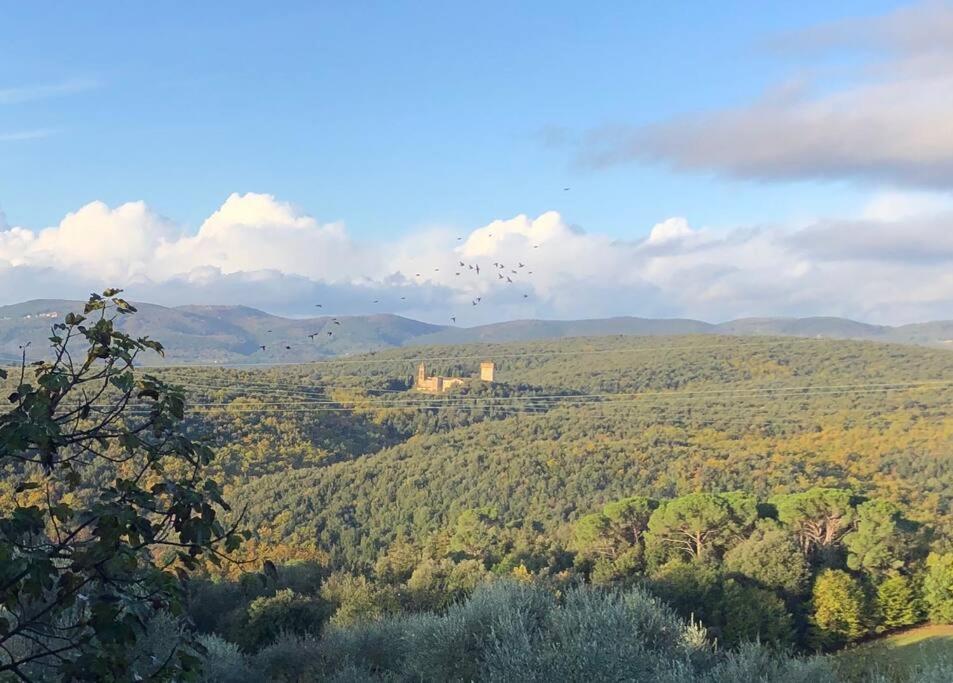 LA VIGNA Agriturismo