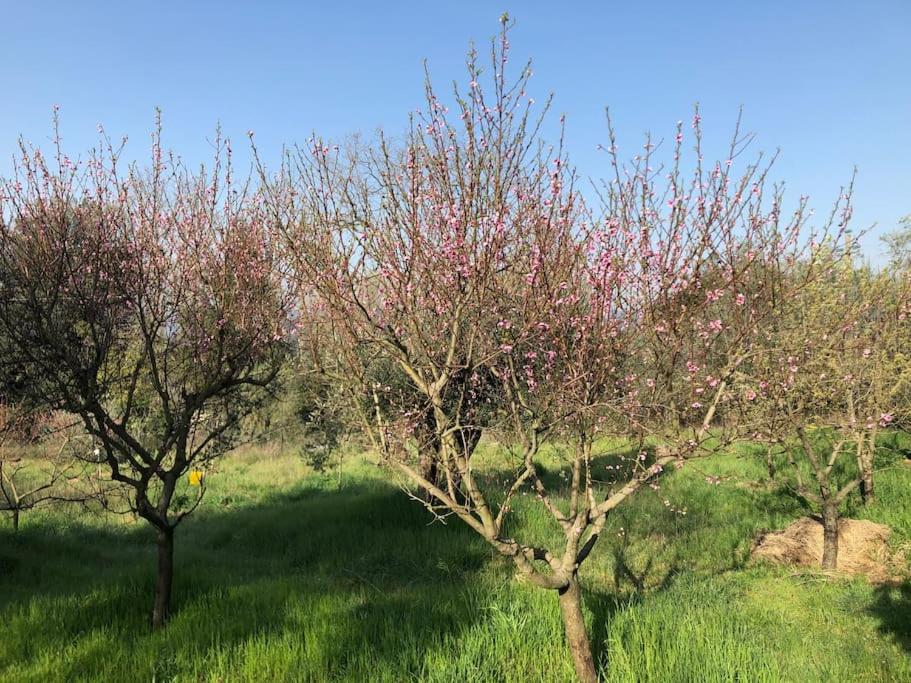 LA VIGNA Agriturismo