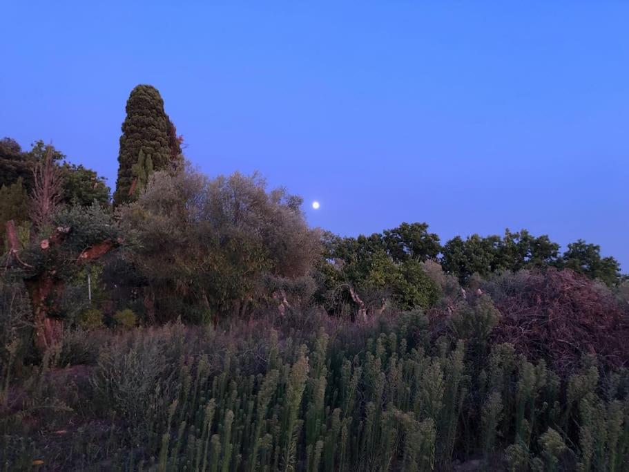 LA VIGNA Agriturismo
