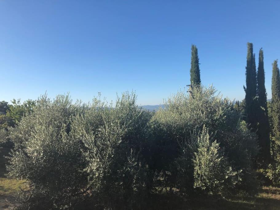 LA VIGNA Agriturismo