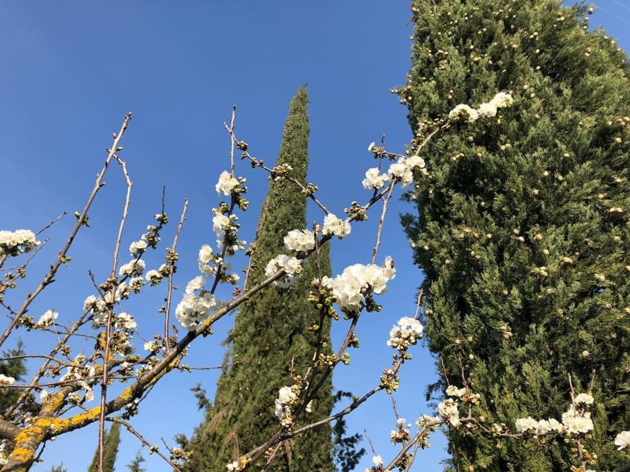 LA VIGNA Agriturismo