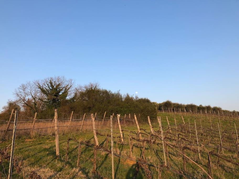 LA VIGNA Agriturismo