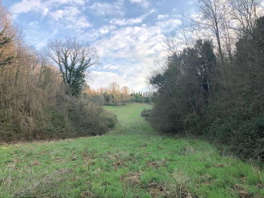 LA VIGNA Agriturismo