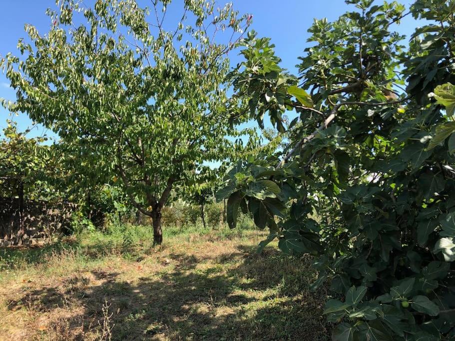 LA VIGNA Agriturismo