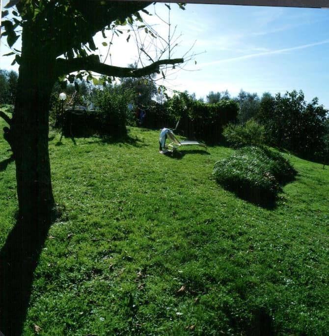 LA VIGNA Agriturismo