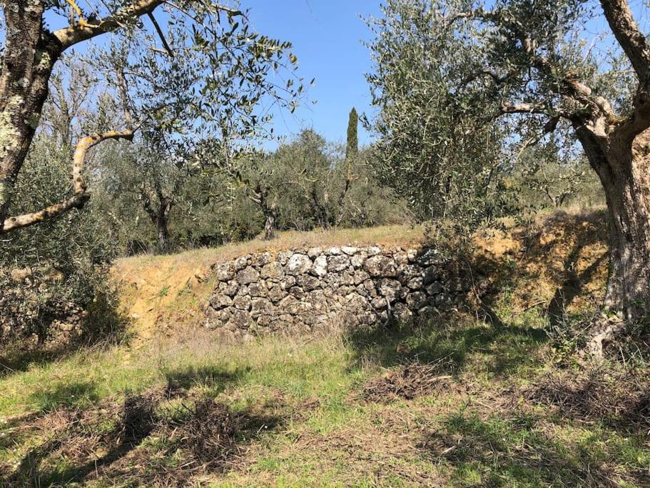 LA VIGNA Agriturismo