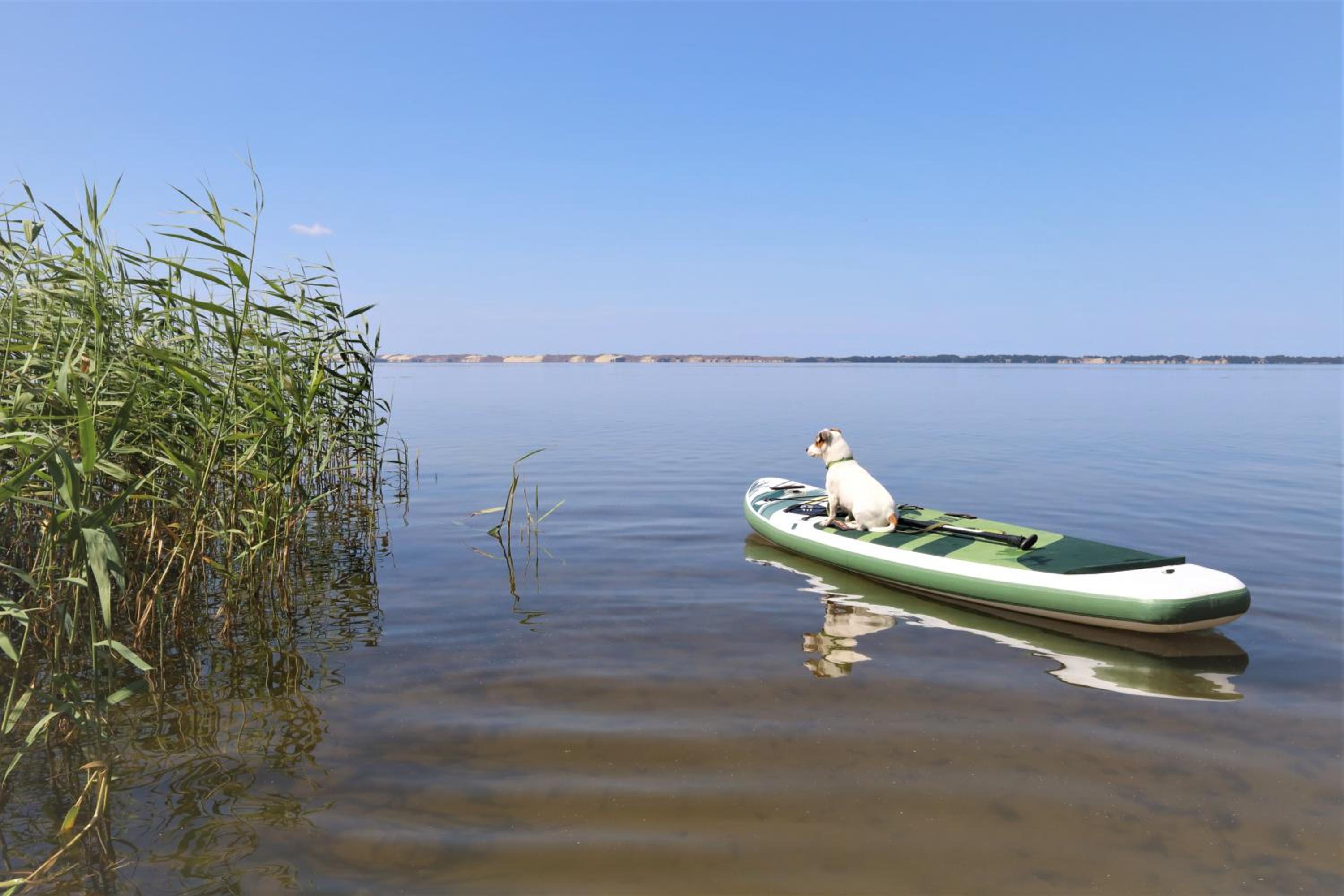 Stovyklavietė Paukščių takas