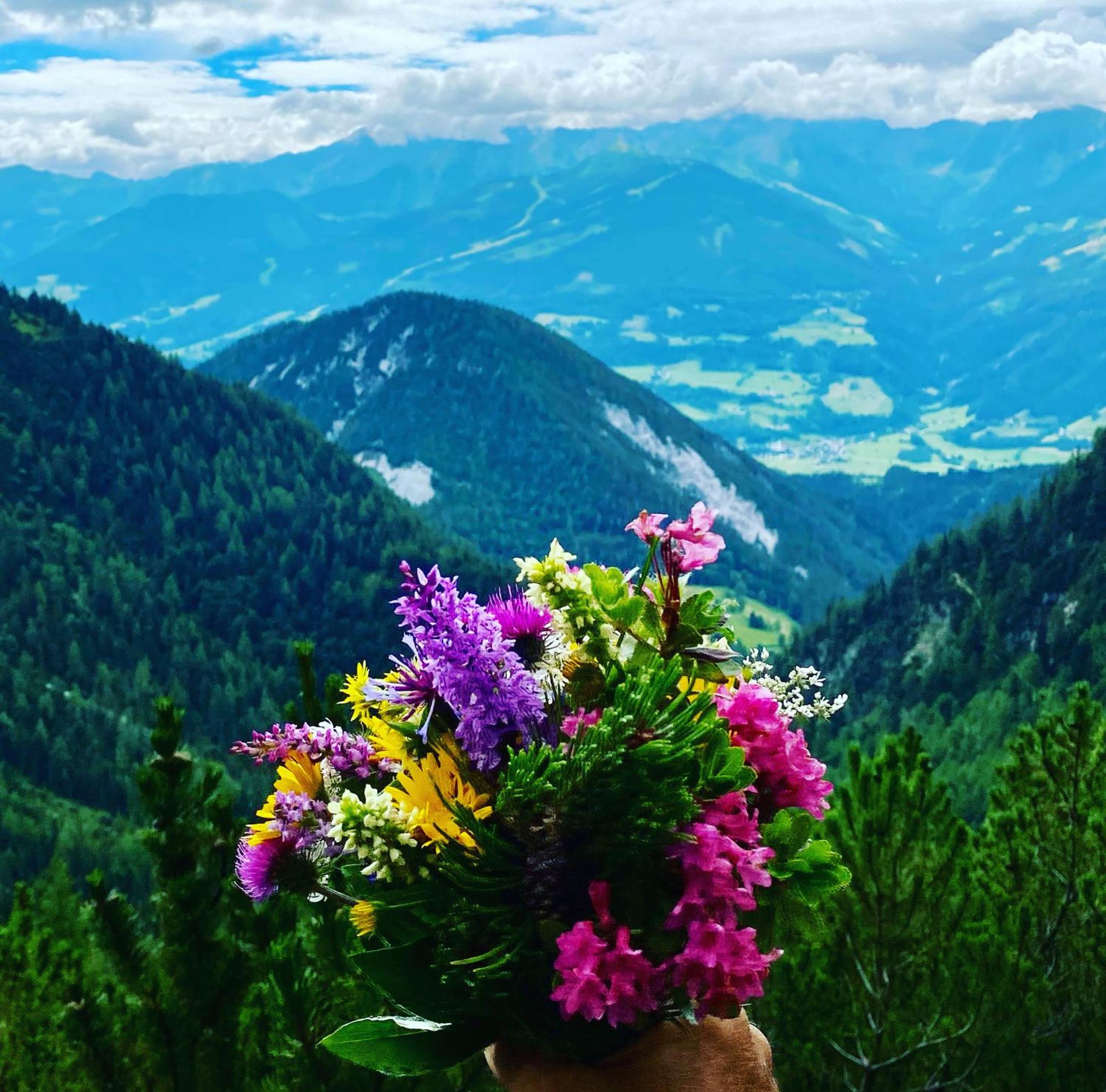 Neues Luxus APARTMENT DACHSTEIN - Ramsau am Dachstein - direkt an der Loipe