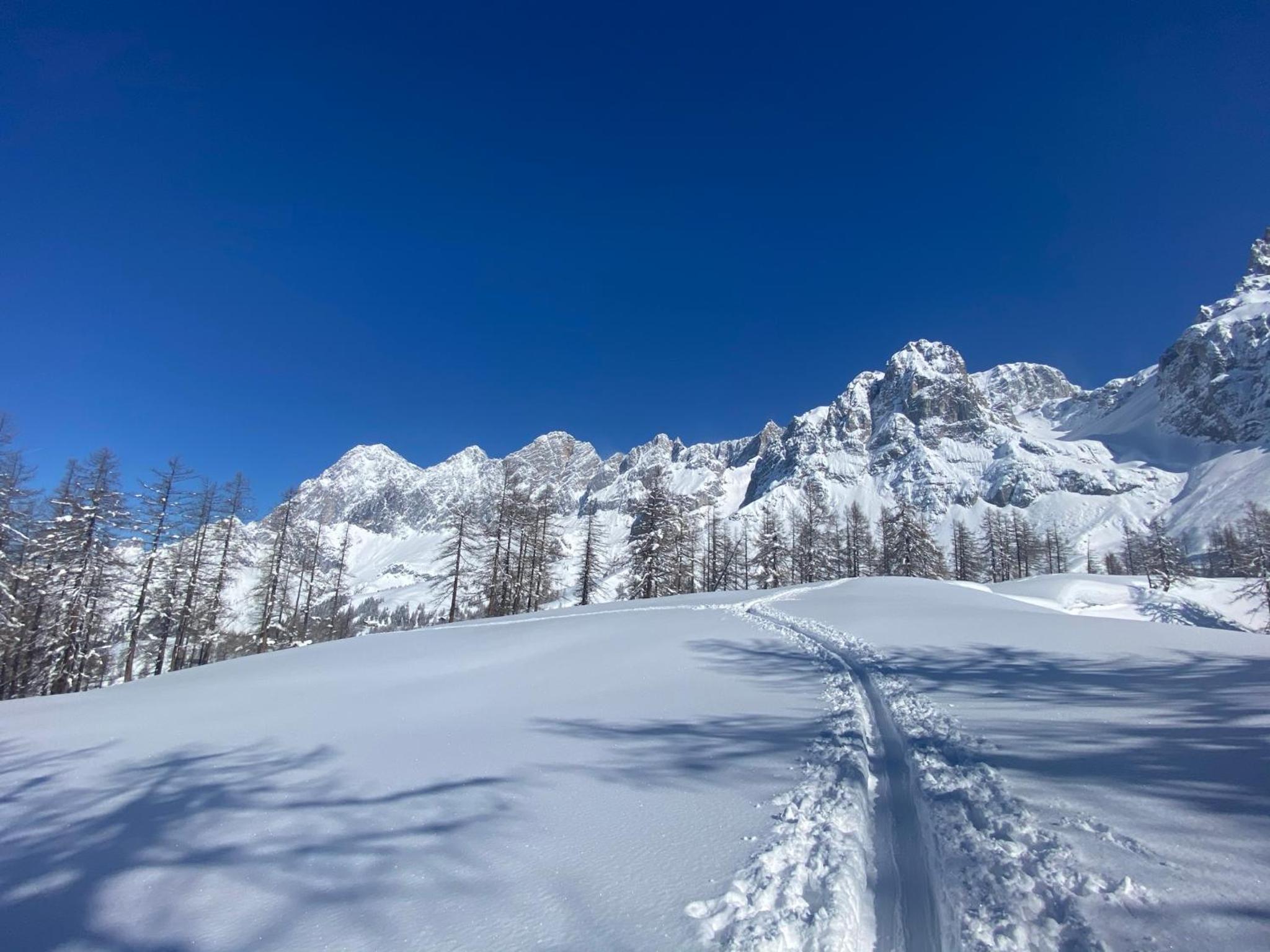 Neues Luxus APARTMENT DACHSTEIN - Ramsau am Dachstein - direkt an der Loipe